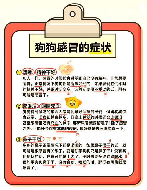 狗狗感冒能吹空调吗/感冒的狗可以吹暖风机吗-第10张图片 狗狗感冒能吹空调吗/感冒的狗可以吹暖风机吗-第10张图片