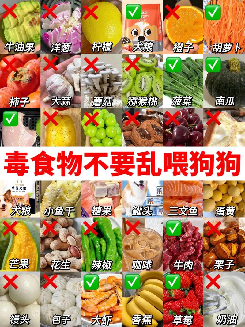 狗狗可以吃大蒜吗/狗可以吃大蒜味的东西吗-第4张图片 狗狗可以吃大蒜吗/狗可以吃大蒜味的东西吗-第4张图片