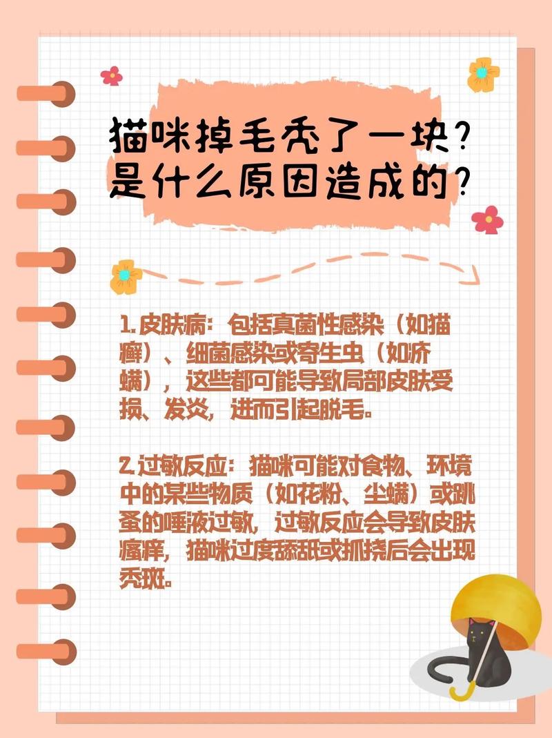 猫咪掉毛的原因-猫咪掉毛的原因和危害-第7张图片 猫咪掉毛的原因-猫咪掉毛的原因和危害-第7张图片