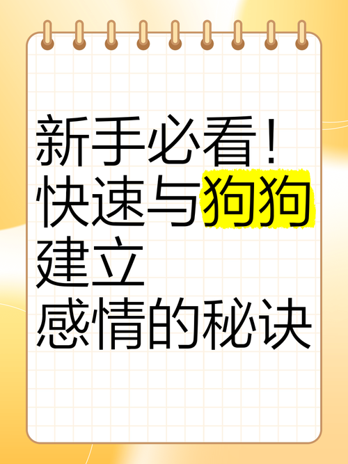 解析“怎么跟狗狗培养感情”你不知道的事-第2张图片 解析“怎么跟狗狗培养感情”你不知道的事-第2张图片