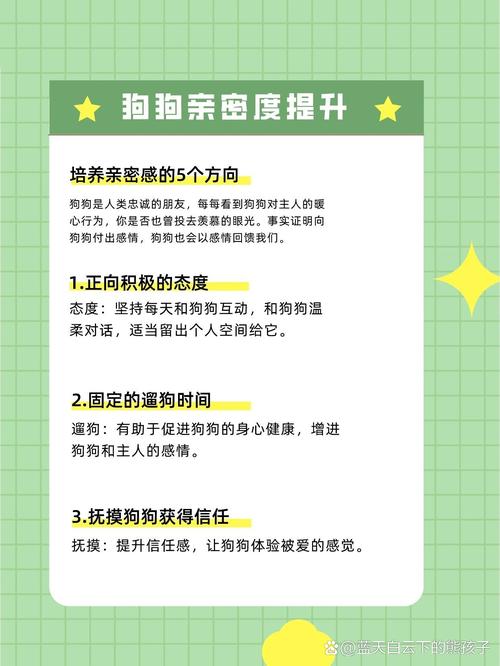 解析“怎么跟狗狗培养感情”你不知道的事-第3张图片 解析“怎么跟狗狗培养感情”你不知道的事-第3张图片