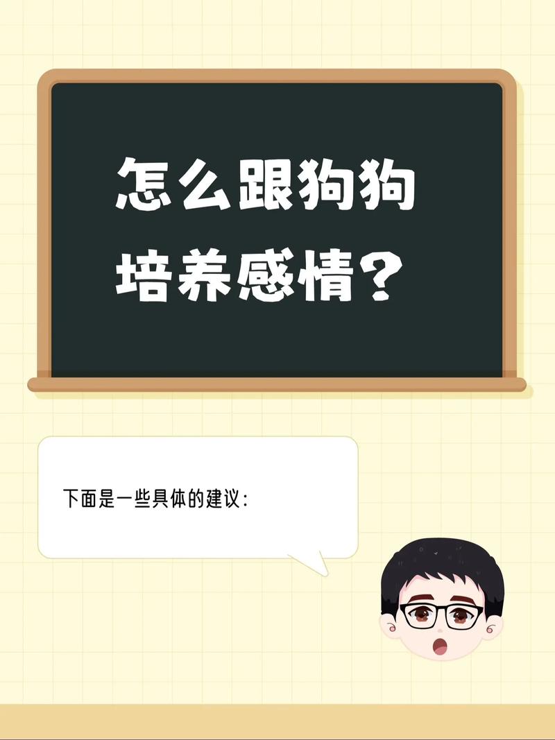 解析“怎么跟狗狗培养感情”你不知道的事-第4张图片 解析“怎么跟狗狗培养感情”你不知道的事-第4张图片