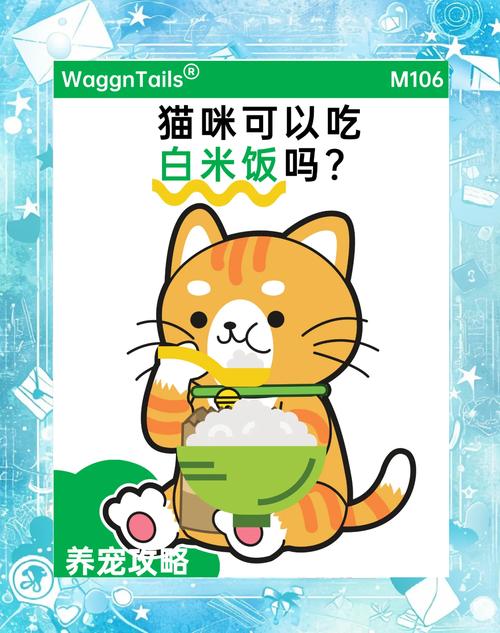 猫能吃米饭吗-宠物猫能吃米饭吗-第5张图片 猫能吃米饭吗-宠物猫能吃米饭吗-第5张图片