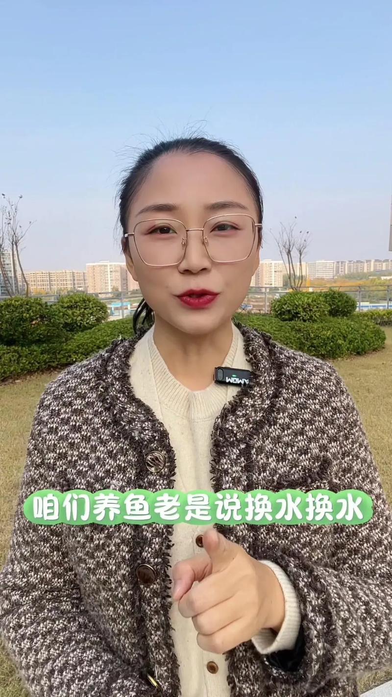 皇后神仙鱼怎么养,皇后神仙鱼好养吗-第3张图片 皇后神仙鱼怎么养,皇后神仙鱼好养吗-第3张图片