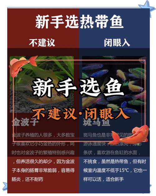 皇后神仙鱼怎么养,皇后神仙鱼好养吗-第9张图片 皇后神仙鱼怎么养,皇后神仙鱼好养吗-第9张图片