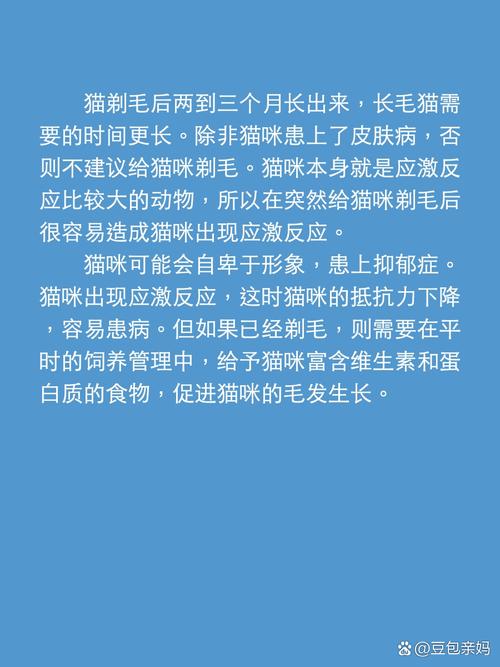 猫咪剃毛多久能长出来/猫咪剃毛多久可以长起来-第1张图片 猫咪剃毛多久能长出来/猫咪剃毛多久可以长起来-第1张图片
