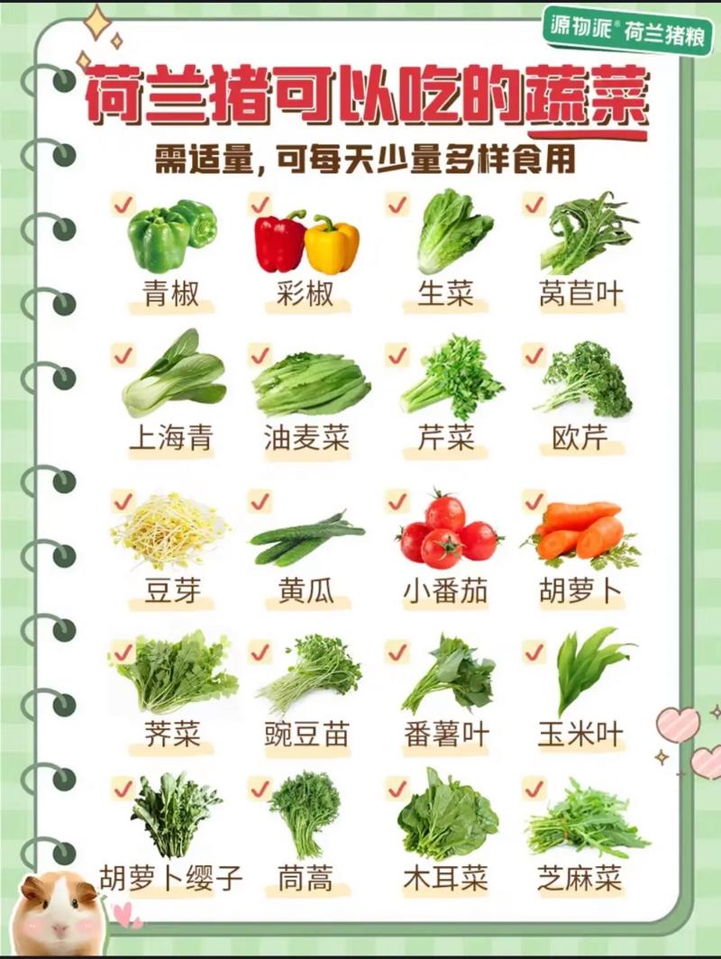 作为消费者“荷兰猪可以吃梨吗”你不能不知道-第1张图片 作为消费者“荷兰猪可以吃梨吗”你不能不知道-第1张图片