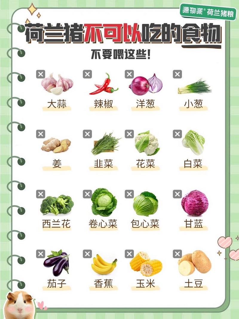 作为消费者“荷兰猪可以吃梨吗”你不能不知道-第6张图片 作为消费者“荷兰猪可以吃梨吗”你不能不知道-第6张图片