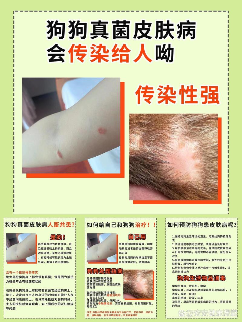 感冒会传染给狗狗吗/人类感冒会传染给狗狗吗-第1张图片 感冒会传染给狗狗吗/人类感冒会传染给狗狗吗-第1张图片