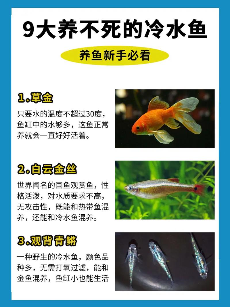 冷水观赏鱼,冷水观赏鱼种类大全-第2张图片 冷水观赏鱼,冷水观赏鱼种类大全-第2张图片