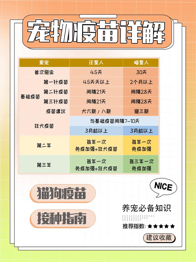 狗狗几个月打针/小狗几个月打针开始打针-第5张图片 狗狗几个月打针/小狗几个月打针开始打针-第5张图片