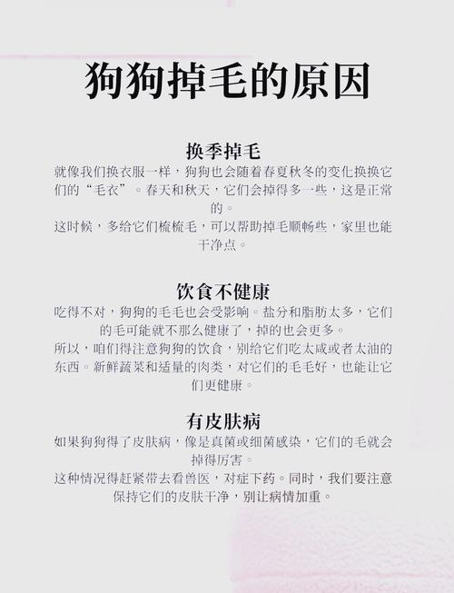 狗狗掉毛严重怎么办,狗狗掉毛严重怎么办 没有皮肤病-第3张图片 狗狗掉毛严重怎么办,狗狗掉毛严重怎么办 没有皮肤病-第3张图片