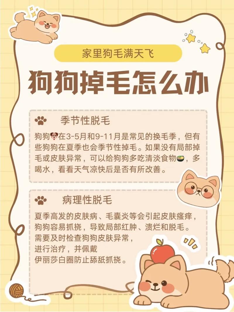 狗狗掉毛严重怎么办,狗狗掉毛严重怎么办 没有皮肤病-第8张图片 狗狗掉毛严重怎么办,狗狗掉毛严重怎么办 没有皮肤病-第8张图片