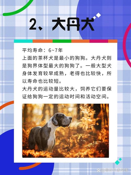 解析“茶杯犬7个月还算小狗吗”你不知道的事-第5张图片 解析“茶杯犬7个月还算小狗吗”你不知道的事-第5张图片