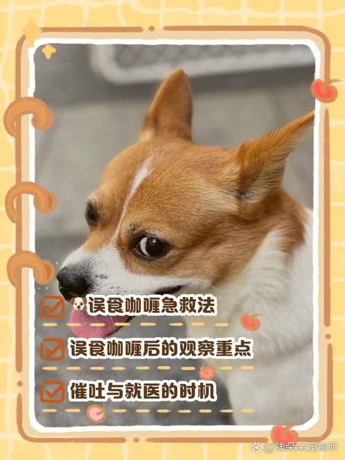 狗狗可以吃咖喱吗/狗狗可以吃咖喱吗有毒吗-第2张图片 狗狗可以吃咖喱吗/狗狗可以吃咖喱吗有毒吗-第2张图片