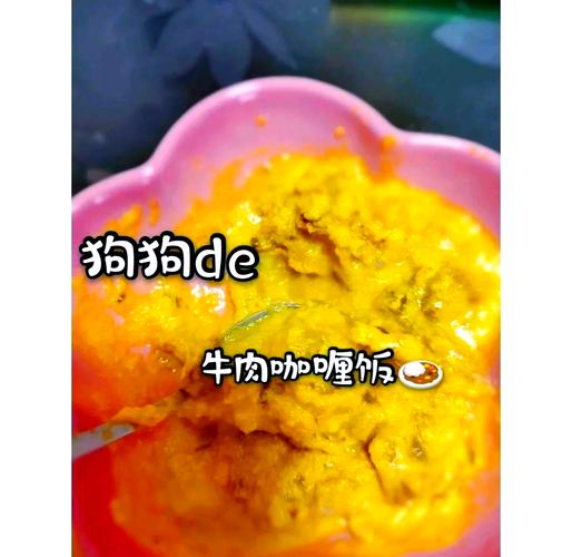 狗狗可以吃咖喱吗/狗狗可以吃咖喱吗有毒吗-第4张图片 狗狗可以吃咖喱吗/狗狗可以吃咖喱吗有毒吗-第4张图片
