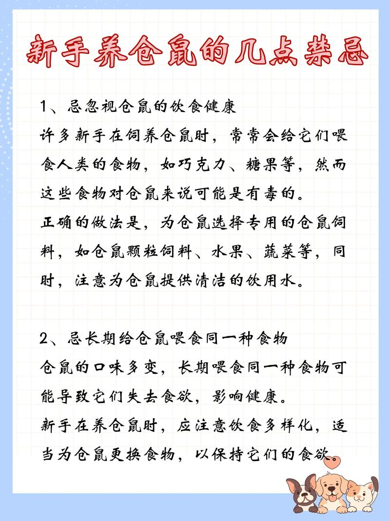 养仓鼠的注意事项/养仓鼠的注意事项20个仓鼠舔人手是什么意思-第5张图片 养仓鼠的注意事项/养仓鼠的注意事项20个仓鼠舔人手是什么意思-第5张图片