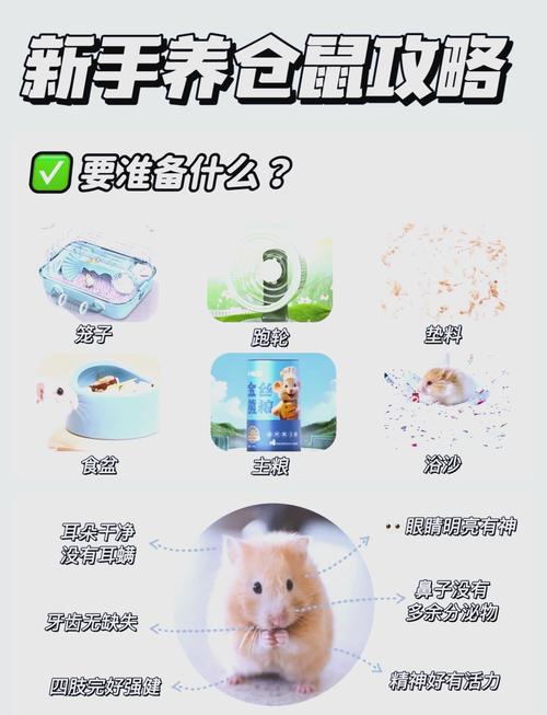 养仓鼠的注意事项/养仓鼠的注意事项20个仓鼠舔人手是什么意思-第9张图片 养仓鼠的注意事项/养仓鼠的注意事项20个仓鼠舔人手是什么意思-第9张图片