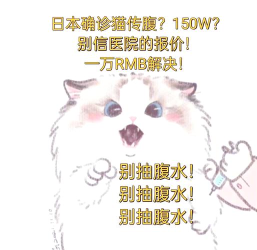 猫传腹441一瓶多少钱-猫传腹441片剂-第2张图片 猫传腹441一瓶多少钱-猫传腹441片剂-第2张图片
