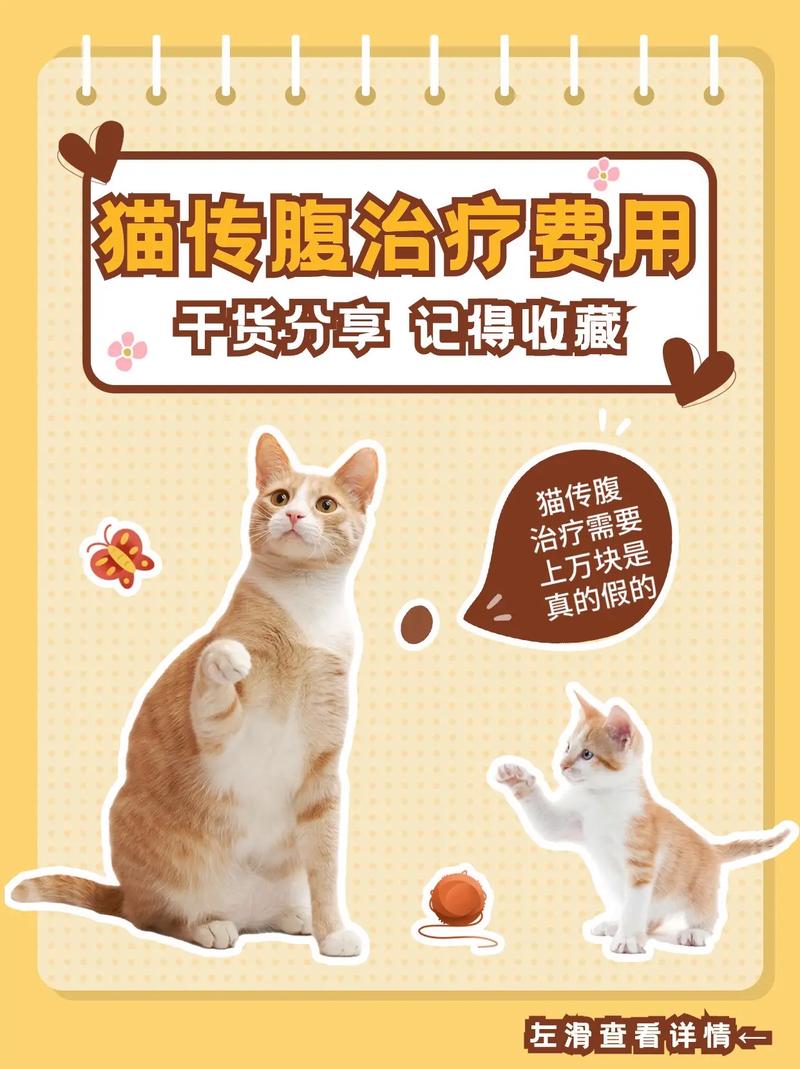 猫传腹441一瓶多少钱-猫传腹441片剂-第5张图片 猫传腹441一瓶多少钱-猫传腹441片剂-第5张图片