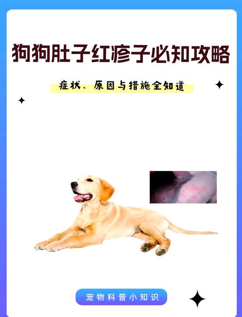 解析“狗狗腹水最初症状”你不知道的事-第2张图片 解析“狗狗腹水最初症状”你不知道的事-第2张图片