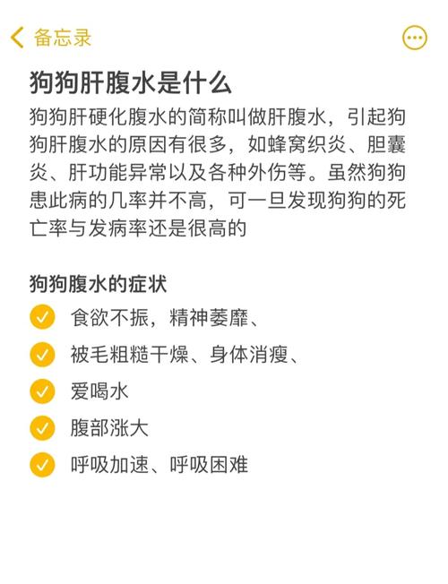 解析“狗狗腹水最初症状”你不知道的事-第4张图片 解析“狗狗腹水最初症状”你不知道的事-第4张图片