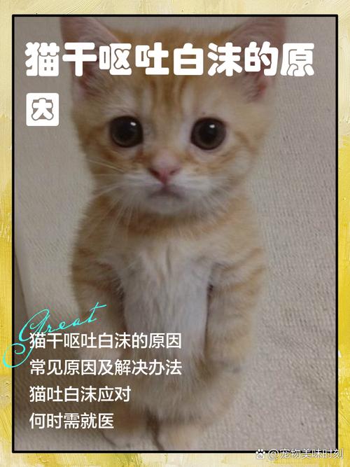 猫食欲不振吐白沫/猫食欲不振吐白沫吃什么药-第1张图片 猫食欲不振吐白沫/猫食欲不振吐白沫吃什么药-第1张图片
