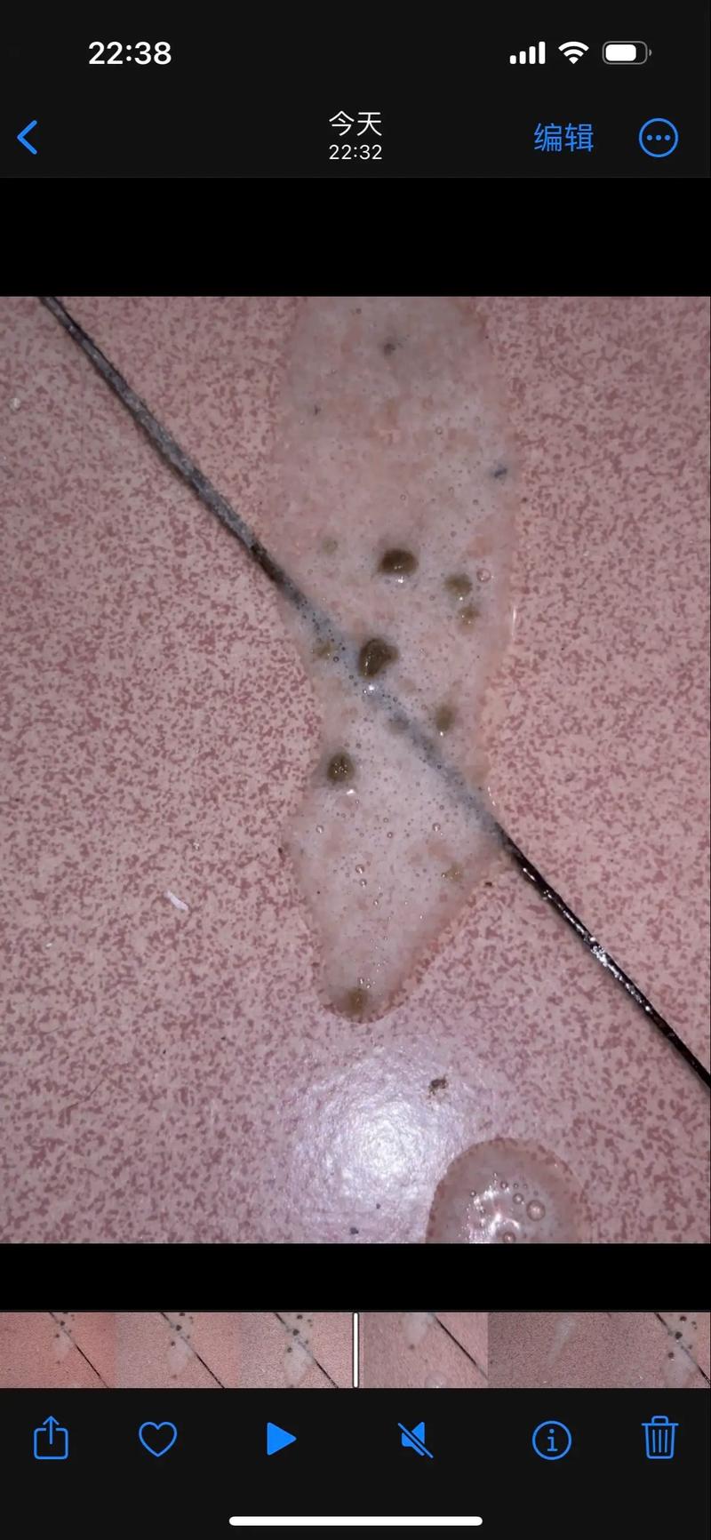 猫食欲不振吐白沫/猫食欲不振吐白沫吃什么药-第2张图片 猫食欲不振吐白沫/猫食欲不振吐白沫吃什么药-第2张图片