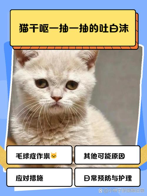 猫食欲不振吐白沫/猫食欲不振吐白沫吃什么药-第3张图片 猫食欲不振吐白沫/猫食欲不振吐白沫吃什么药-第3张图片