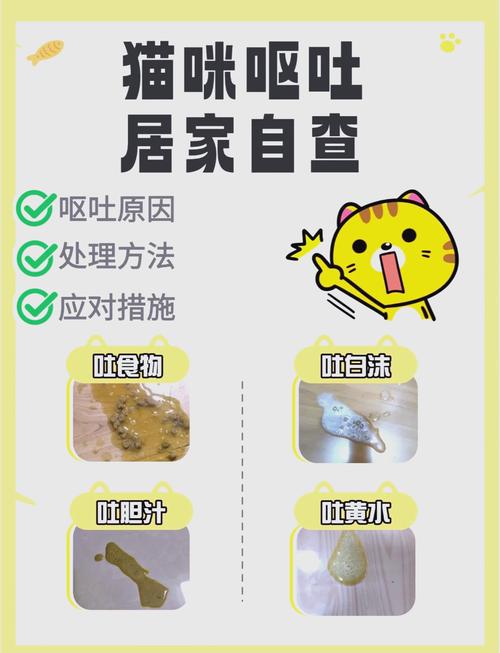 猫食欲不振吐白沫/猫食欲不振吐白沫吃什么药-第5张图片 猫食欲不振吐白沫/猫食欲不振吐白沫吃什么药-第5张图片