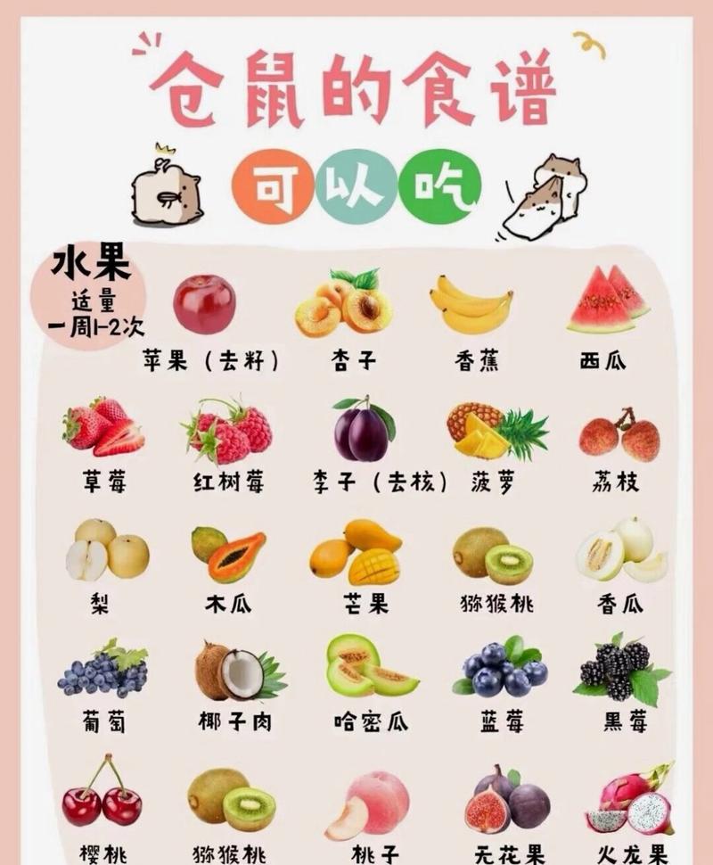仓鼠都吃什么,仓鼠都吃什么家里没有鼠粮-第3张图片 仓鼠都吃什么,仓鼠都吃什么家里没有鼠粮-第3张图片
