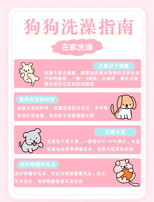 给狗狗洗澡注意什么/给狗狗洗澡注意什么事项-第2张图片 给狗狗洗澡注意什么/给狗狗洗澡注意什么事项-第2张图片