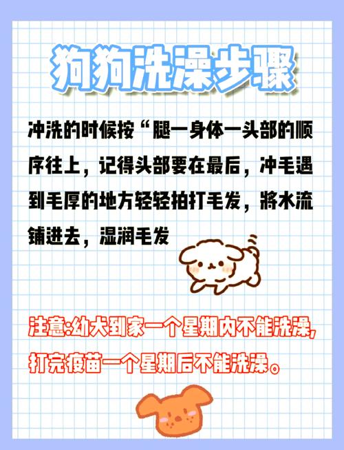 给狗狗洗澡注意什么/给狗狗洗澡注意什么事项-第6张图片 给狗狗洗澡注意什么/给狗狗洗澡注意什么事项-第6张图片