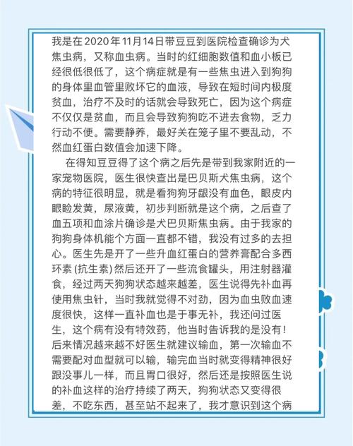 狗狗得了血虫病的症状/狗狗得了血虫病怎么治疗?能治好吗?-第2张图片 狗狗得了血虫病的症状/狗狗得了血虫病怎么治疗?能治好吗?-第2张图片