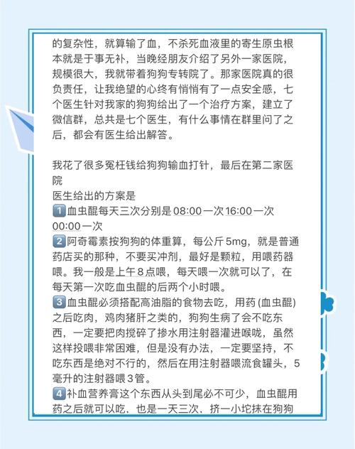 狗狗得了血虫病的症状/狗狗得了血虫病怎么治疗?能治好吗?-第8张图片 狗狗得了血虫病的症状/狗狗得了血虫病怎么治疗?能治好吗?-第8张图片