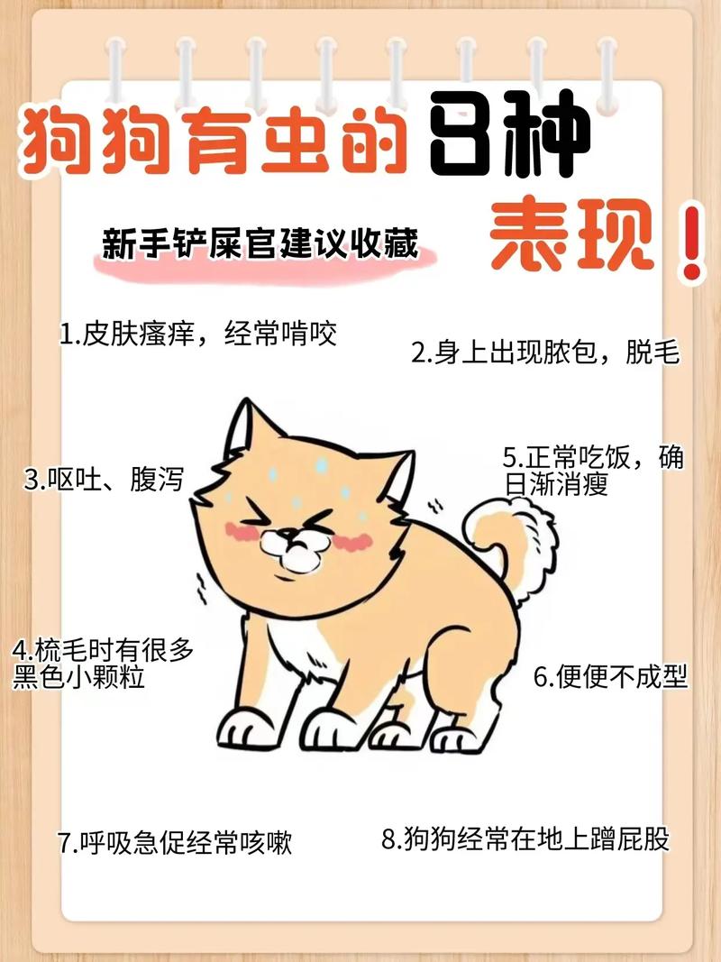 狗狗吃驱虫药要禁食吗,狗吃驱虫药需要几个小时空腹吗-第2张图片 狗狗吃驱虫药要禁食吗,狗吃驱虫药需要几个小时空腹吗-第2张图片