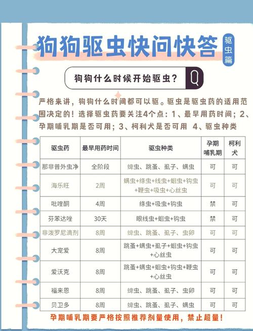 狗狗吃驱虫药要禁食吗,狗吃驱虫药需要几个小时空腹吗-第3张图片 狗狗吃驱虫药要禁食吗,狗吃驱虫药需要几个小时空腹吗-第3张图片