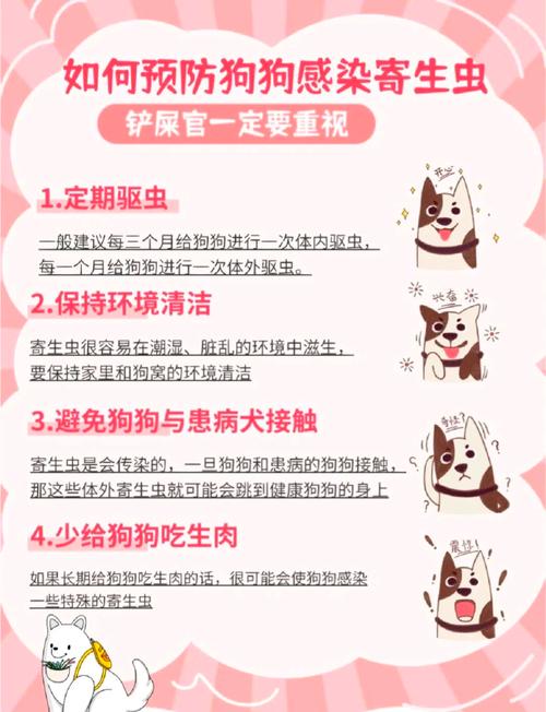 狗狗吃驱虫药要禁食吗,狗吃驱虫药需要几个小时空腹吗-第6张图片 狗狗吃驱虫药要禁食吗,狗吃驱虫药需要几个小时空腹吗-第6张图片