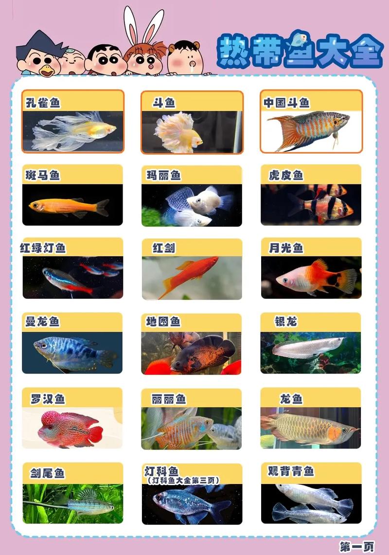 热带鱼是从小好养吗-热带鱼幼鱼养多久才能长大-第5张图片 热带鱼是从小好养吗-热带鱼幼鱼养多久才能长大-第5张图片
