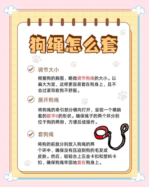 解析“狗狗牵引绳怎么用”你不知道的事-第1张图片 解析“狗狗牵引绳怎么用”你不知道的事-第1张图片