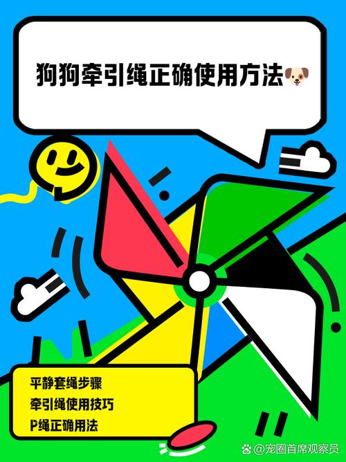 解析“狗狗牵引绳怎么用”你不知道的事-第2张图片 解析“狗狗牵引绳怎么用”你不知道的事-第2张图片
