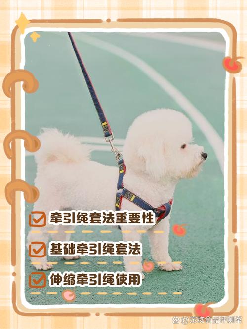 解析“狗狗牵引绳怎么用”你不知道的事-第3张图片 解析“狗狗牵引绳怎么用”你不知道的事-第3张图片