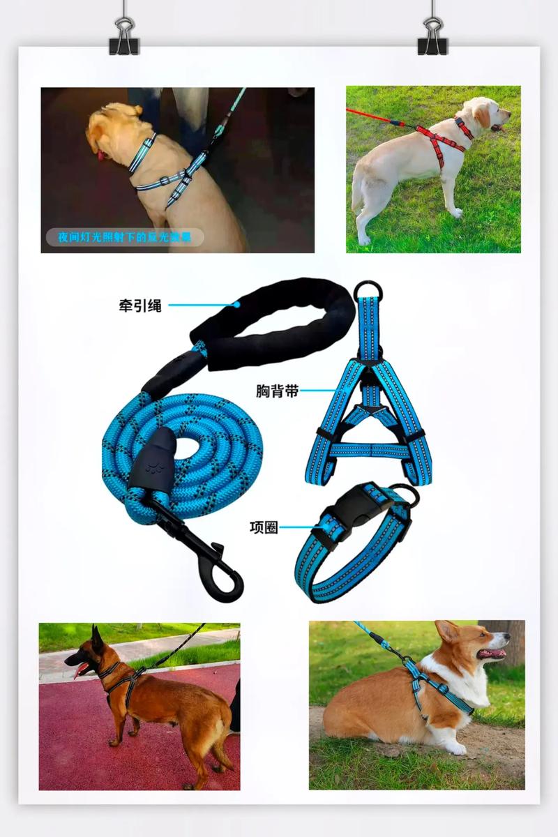 解析“狗狗牵引绳怎么用”你不知道的事-第6张图片 解析“狗狗牵引绳怎么用”你不知道的事-第6张图片