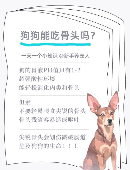 作为消费者“狗狗可以吃生骨头吗”你不能不知道-第4张图片 作为消费者“狗狗可以吃生骨头吗”你不能不知道-第4张图片