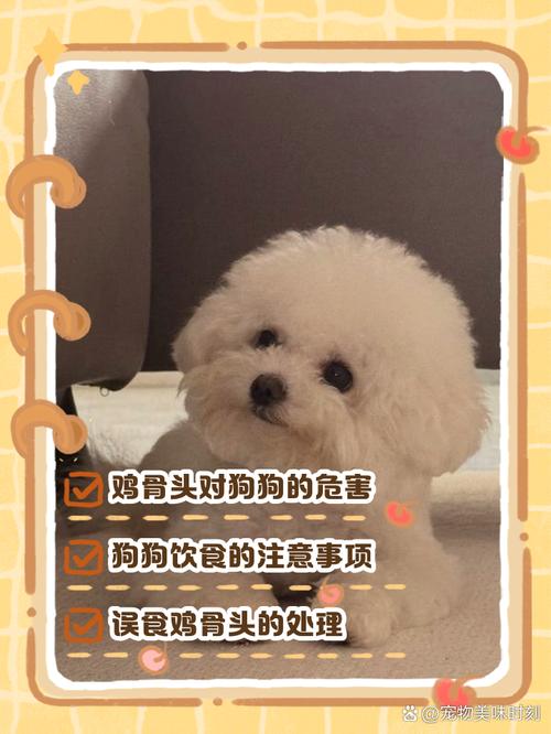作为消费者“狗狗可以吃生骨头吗”你不能不知道-第5张图片 作为消费者“狗狗可以吃生骨头吗”你不能不知道-第5张图片