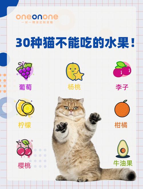 作为消费者“猫能吃山楂吗”你不能不知道-第2张图片 作为消费者“猫能吃山楂吗”你不能不知道-第2张图片
