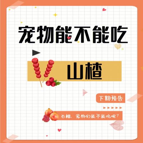 作为消费者“猫能吃山楂吗”你不能不知道-第4张图片 作为消费者“猫能吃山楂吗”你不能不知道-第4张图片