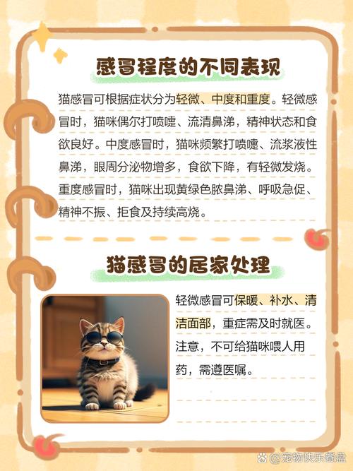 猫咪感冒症状表现-猫咪感冒是什么症状?-第2张图片 猫咪感冒症状表现-猫咪感冒是什么症状?-第2张图片
