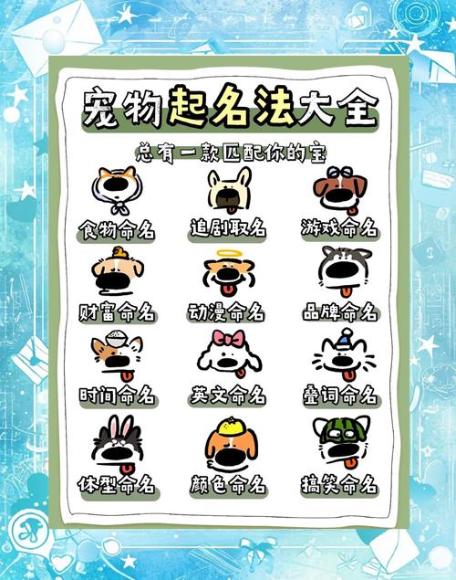 解析“能带来好运的狗狗名字”你不知道的事-第6张图片 解析“能带来好运的狗狗名字”你不知道的事-第6张图片
