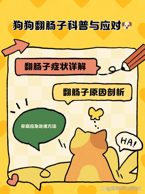 解析“狗翻肠”你不知道的事-第1张图片 解析“狗翻肠”你不知道的事-第1张图片